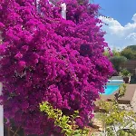 Ali Avec Piscine Et Jacuzzi A450m Du La Uniquement Aout Dispo Pour 11 Personnes 5chambres Et 3 Sdb *