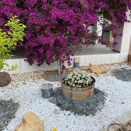 Ali Avec Piscine Et Jacuzzi A450m Du La Mer! * La Ciotat