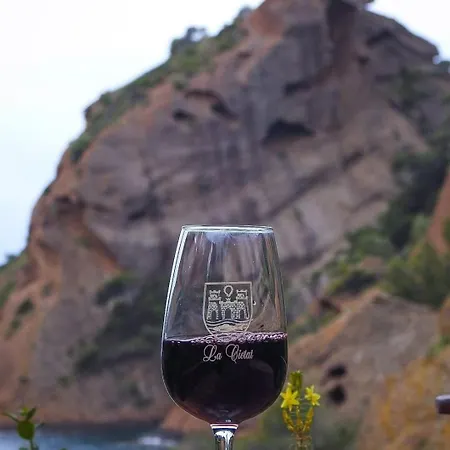 Ali Avec Piscine Et Jacuzzi A450m Du La Mer! Dom wakacyjny La Ciotat